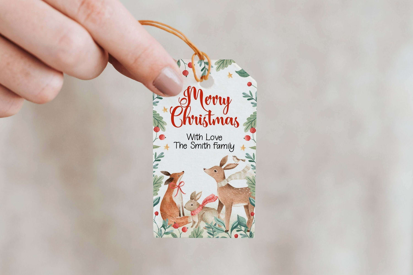 Editable Christmas Favor Tags, Winter Wonderland Gift Tags, Merry Christmas Tags, Holiday Labels REF013 - Digitally Printables