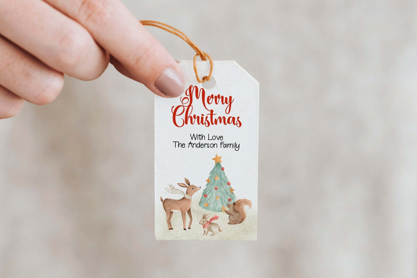 Editable Winter Wonderland Favor Tags, Christmas Gift Tags, Merry Christmas Tags, Holiday Labels REF013 - Digitally Printables