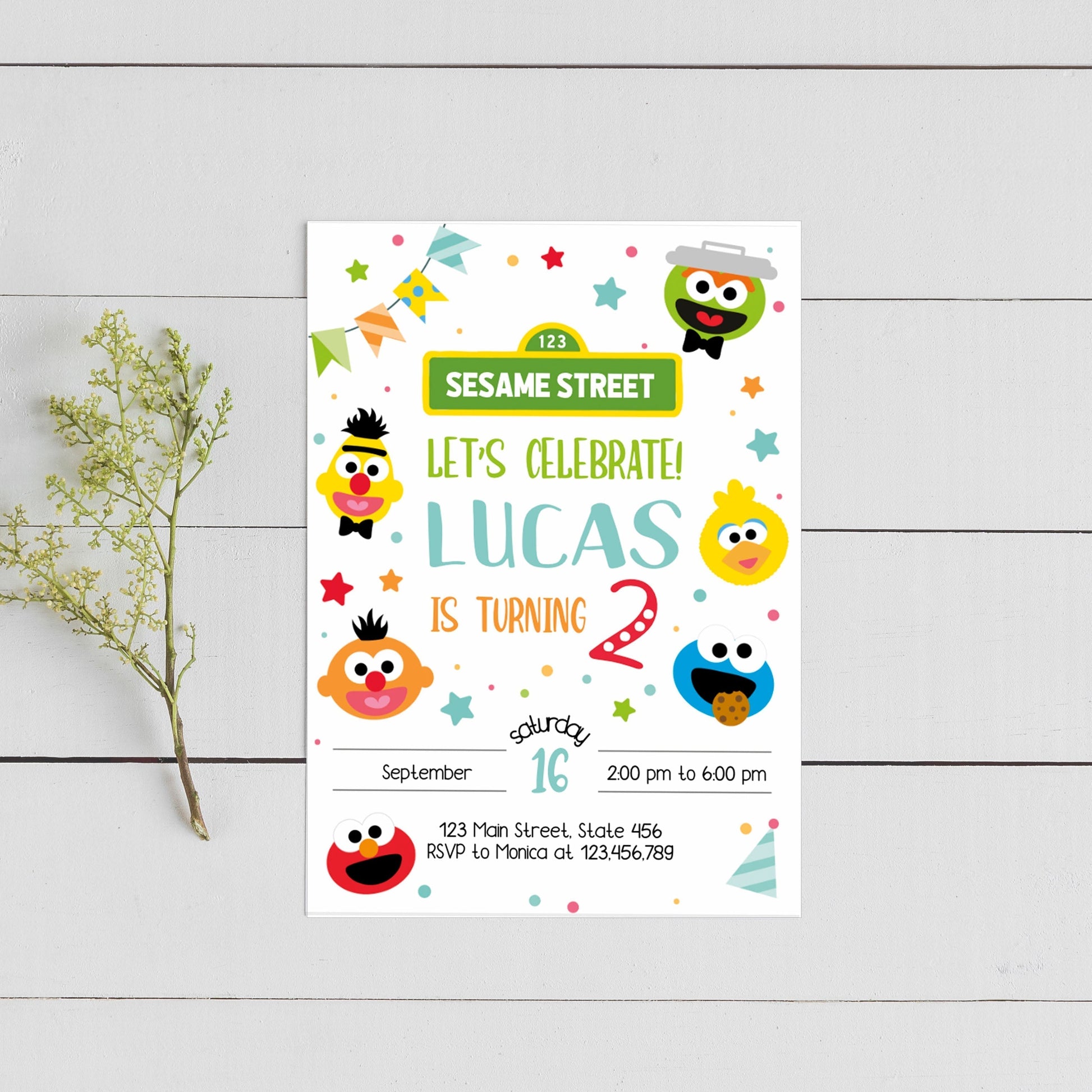 Sesame Street Inspired Birthday Invitation ☆ Instant Download